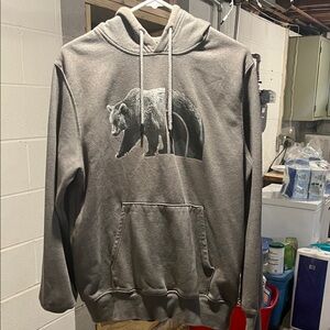 The North Face Charcoal Bear Graphic Hoodie